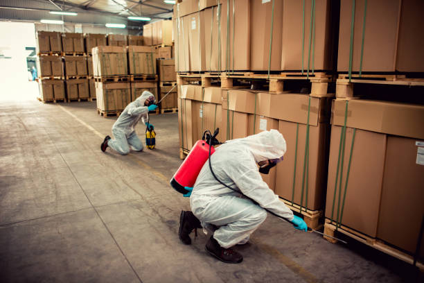 Best Affordable Pest Control Services  in Mans, CO