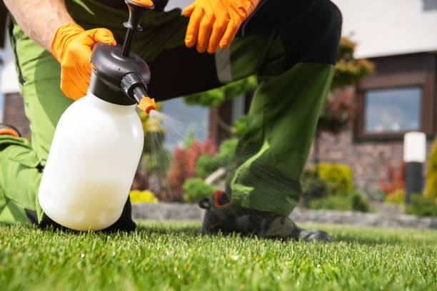 Best Termite Control Services  in Mans, CO