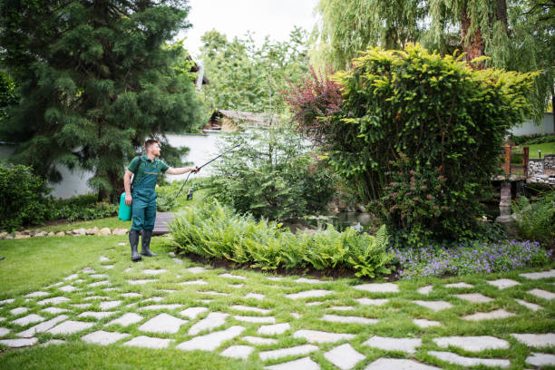 Best Best Pest Control Companies  in Mans, CO