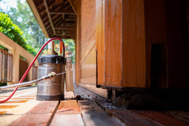 Best Pest Prevention Services  in Mans, CO