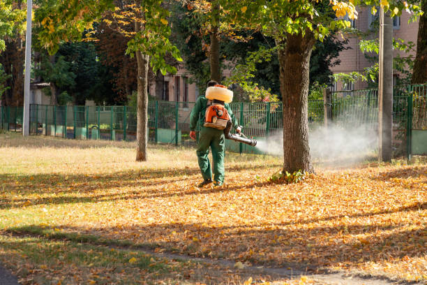 Best Best Pest Control Companies  in Mans, CO
