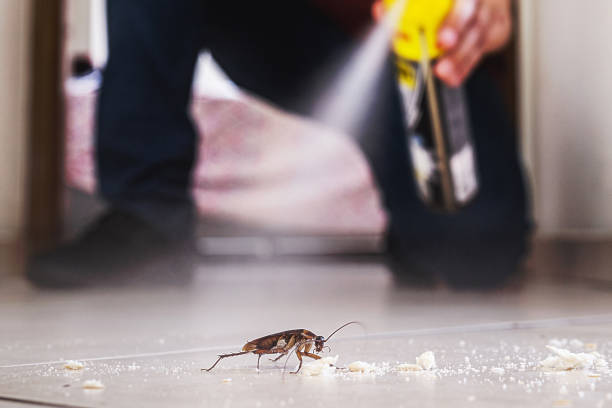 Best Insect Control  in Mans, CO